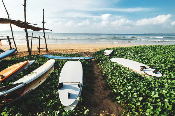 Surffilautoja rannalla Sri Lankalla