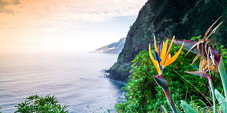 Kaunis maisema Madeiralla
