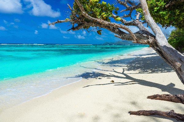 Sukella Seychelleillä