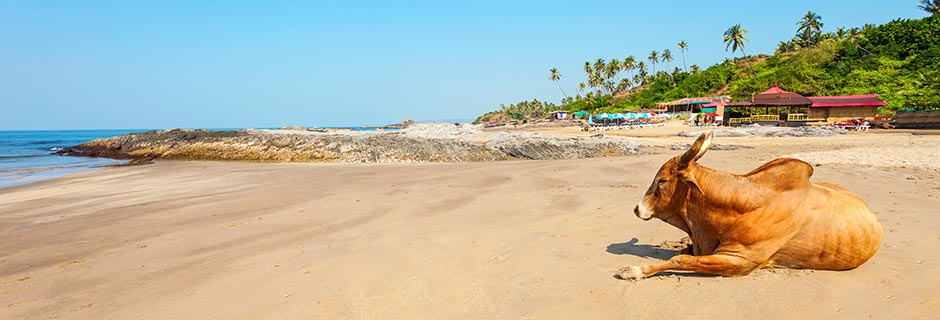 Cola Beach Goalla, Intiassa